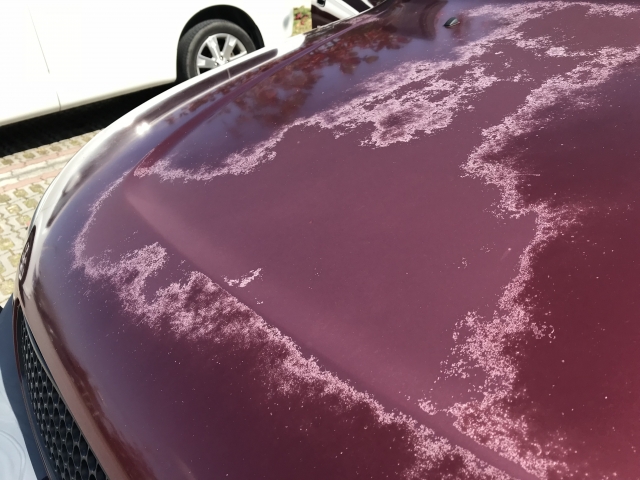塩害で塗装が剥げた車のボディ