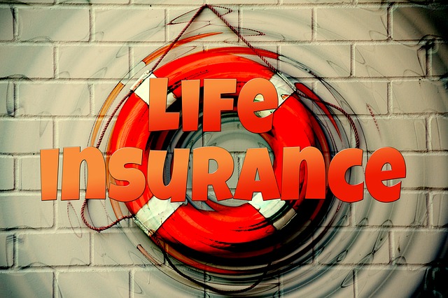 生命保険の種類とは？